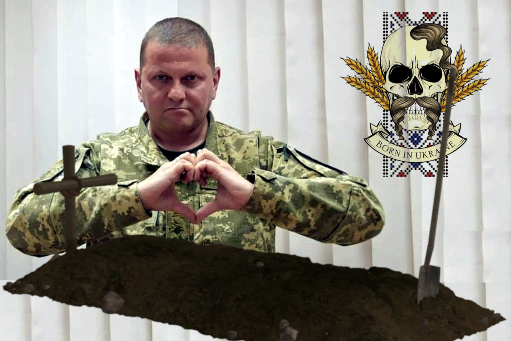 Залужный мертв